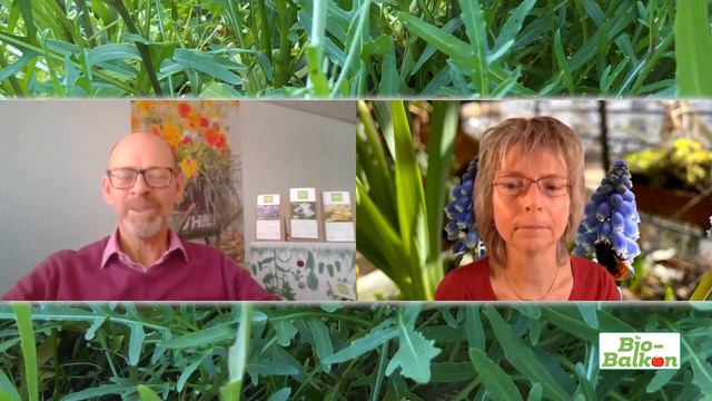 Frühblüher im Topf auf Balkon &Terrasse - Tipps vom Produzenten zu Erde, Düngung, mehrjähriger Blüt смотреть онлайн