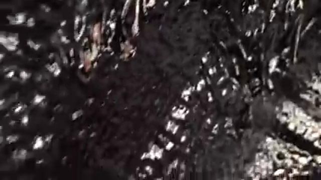 Тойота Камри жидкие подкрылки - антикор и шумоизоляция арок снаружи смотреть онлайн