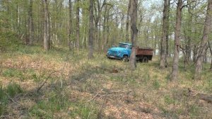 Мечта дровосека! Валежник!