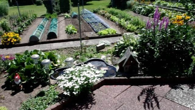 Unser Garten im Juli 2011 (Testvideo mit Pentax K-5 Full HD) смотреть онлайн