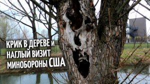 Крик и наглый визит министра обороны США в Украину, в чем связь этих объектов