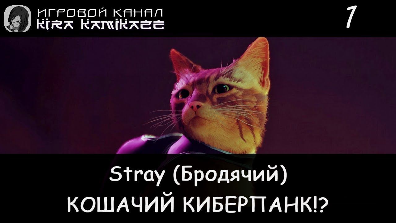 😻 ИГРАЕМ ЗА РЫЖУЮ ШАВЕРМУ! × Stray, Прохождение #1 🐈🏙🌃