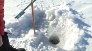 ICE FISHING AT MINUS 20 DEGREES CELSIUS!