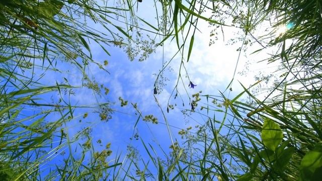 Детство, ты меня не покидай смотреть онлайн