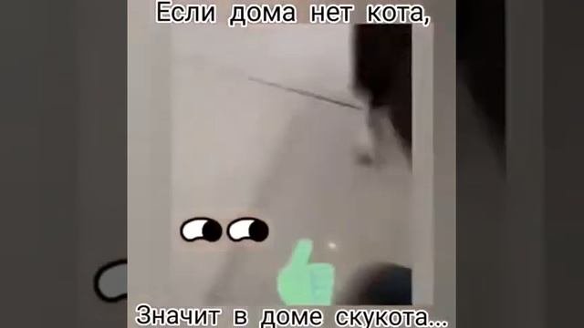 Если дома нет кота, значит в доме скукота