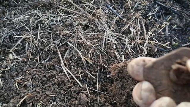 Настройки ЭКВИНОКС 600. И коп в ураган.