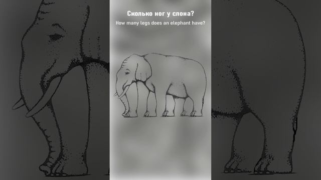 Тест на внимательность! Mindfulness test!