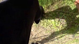 Каждый подъем есть рыба! РЫБАЛКА НА ПАУК (ПОДЪЁМНИК)