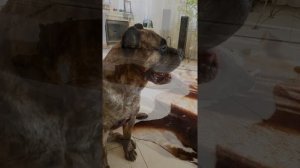 Прессо Канарио частная жизнь.