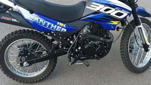 RACER RC300-GY8X PANTHER