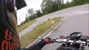 Грустная история про кошку которую сбила машина