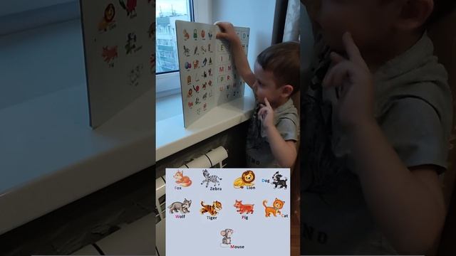 Английский. Названия животных #английский, #учимязыки, #дети, #ранееразвитие, #shorts