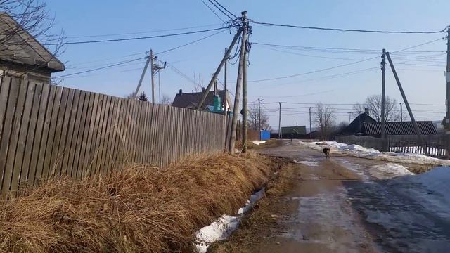 Всё что они делают либо скрыть,либо как лохов развести. 23.03.22г. смотреть онлайн