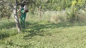 Dolmar MS + Makita-Dolmar Strimmer Line in dense grass