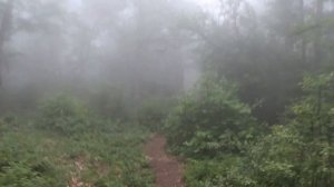 Крым одиночный поход с ночёвкой на  гору Ильяс Кая и Куш Кая