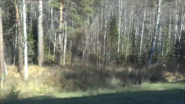 Сибирь 2014 Подкаменная тунгуска 3 выброска