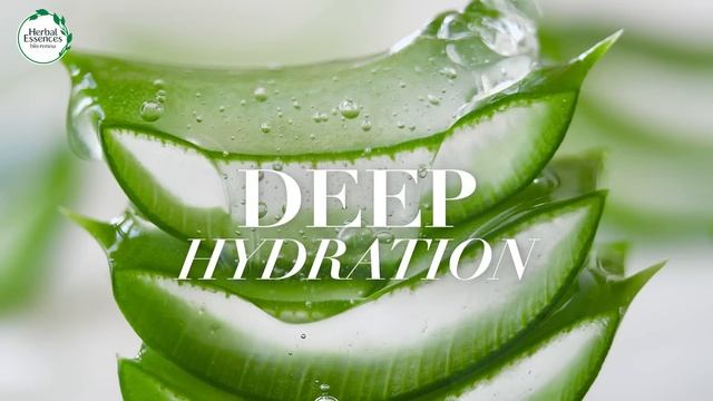 LOVE your curls with the NEW Curly Hair Collection from Herbal Essences смотреть онлайн