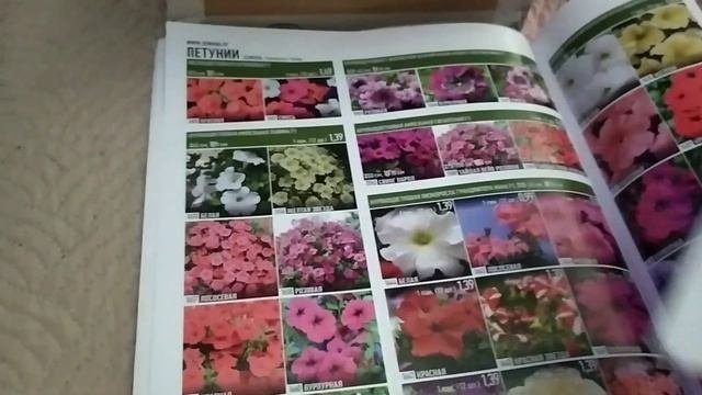 Покупка семян в интернет магазине  SEMENA BY