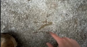 Зимнее рубилово FPV