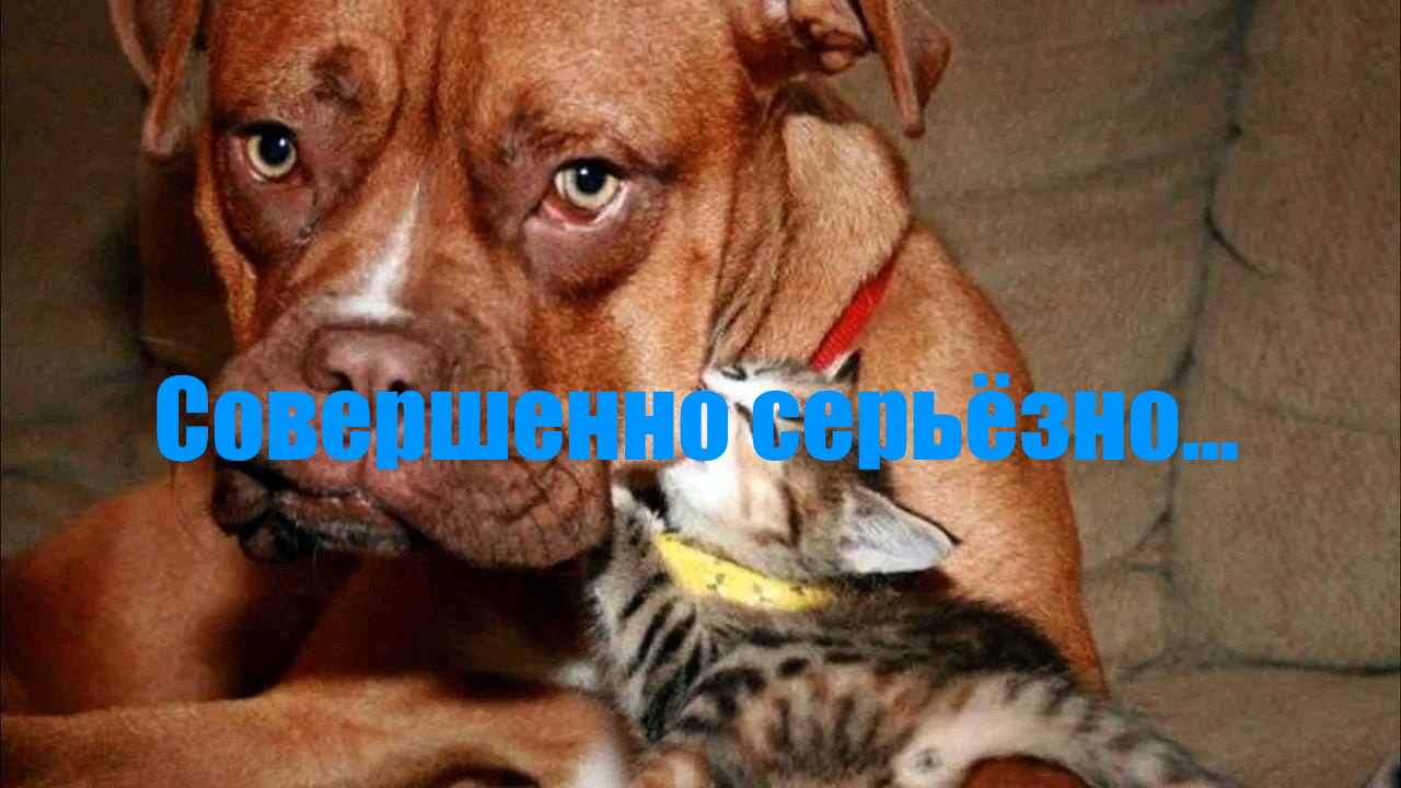 Попробуй не улыбнись... ??? #1