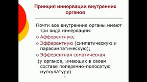 Анатомия. Вегетативная нервная система