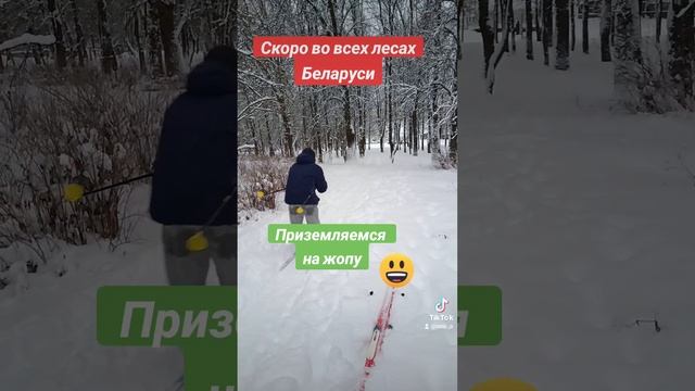 Скоро во всех Лесах БЕЛАРУСИ... Приземляемся на жопу :)