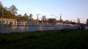 Платформа Колпино, ласточка и электричка