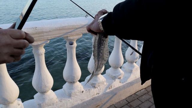 Морская рыбалка с берега - Рыбак поймал камбалу