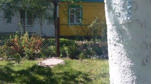 Простой способ повесить гамак между деревьями