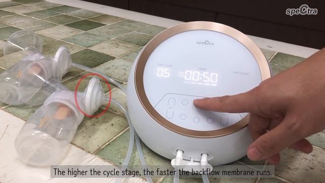 Spectra Gold Dual Instruction Video смотреть онлайн