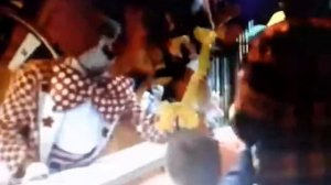 Ржака посмотри жираф :)