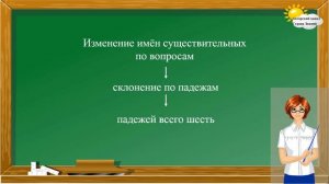 Русский язык. Число, род, падеж имени существительного.