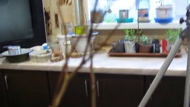 Познакомимся---"Клиома Сервис" смотреть онлайн