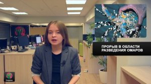 Прорыв в области разведения омаров