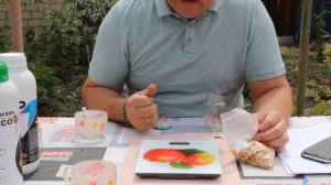 Применение РАЗЕР и МИКОГЕЛЬ для обработки семян огурцов