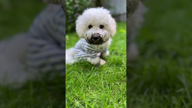 Вот и погуляли