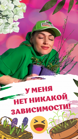 Тренд