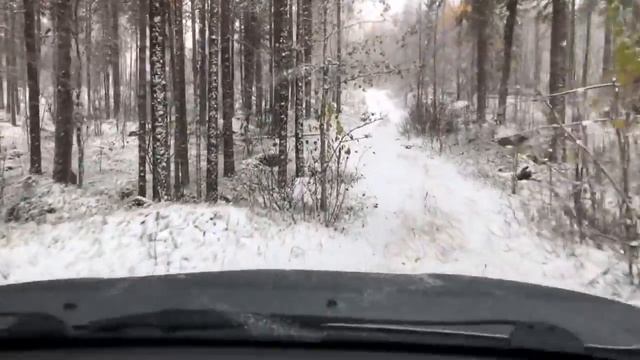 В погоне за Маманей 2018 г.mp4 смотреть онлайн