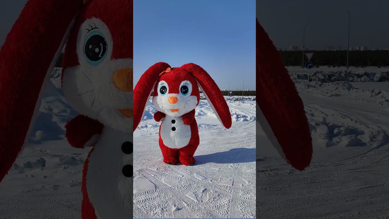 Супер танцы от Зайчика -обнимаша) #shortsclip #аниматоры #весело #зелье #топ #youtube #дети смотреть онлайн