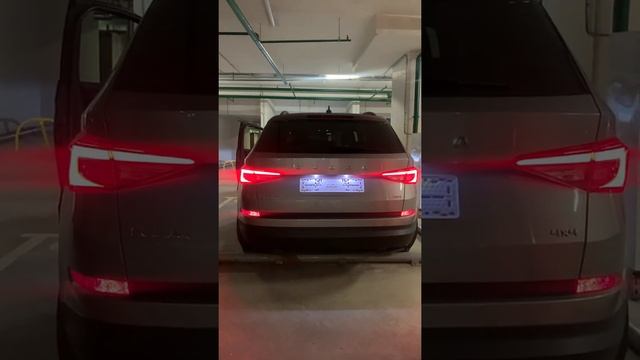 Громкий выхлоп Skoda Kodiaq