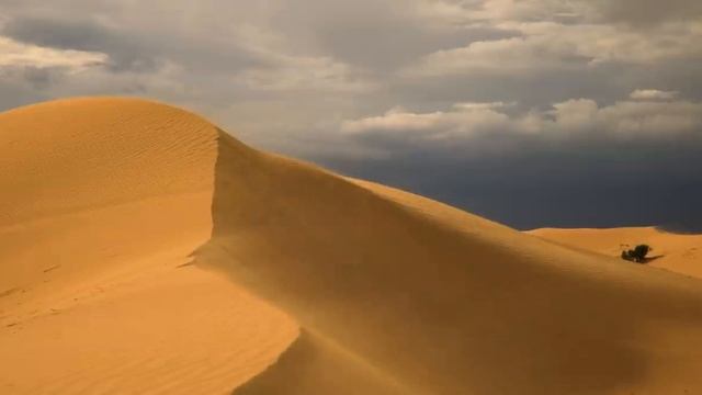 Очень красивое чтение Корана. Сура Ясин — это сердце Корана. смотреть онлайн