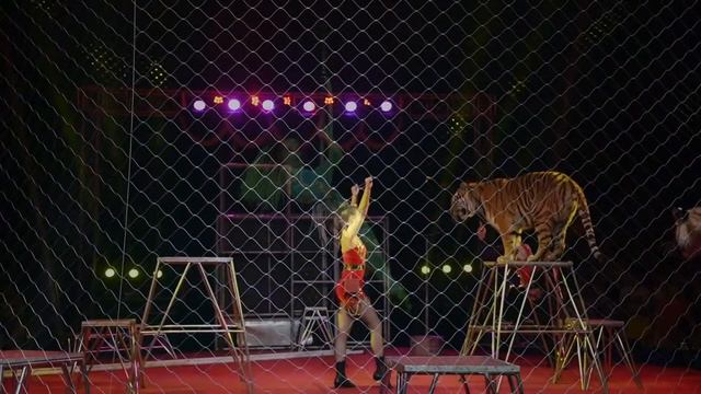 Цирк-шапито династии Довгалюк смотреть онлайн