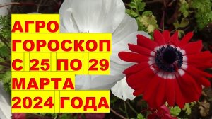 Агрогороскоп с 25 по 29 марта 2024 года Agrohoroscope from March 25 to 29, 2024