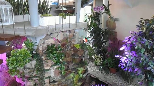 Водопад в зимнем саду смотреть онлайн