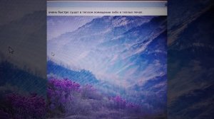 Маралий корень: лечебные свойства и противопоказания.