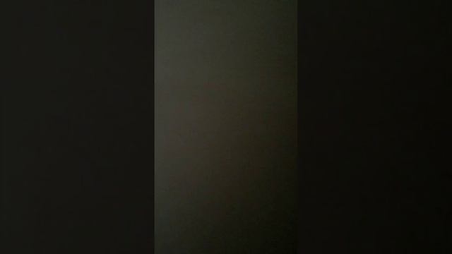 Как вырастить подсолнух