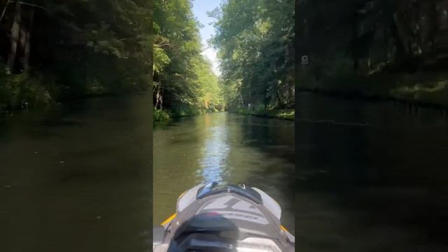 SEA DOO RXP 300 nature