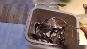 Клариевый сом. Часть #2.  Выращивание в Китае.
