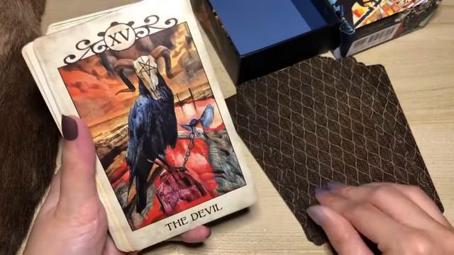 CROW TAROT - Review & flipthrough. Most beautiful & meaningful murder of crows ever depicted! *wink смотреть онлайн
