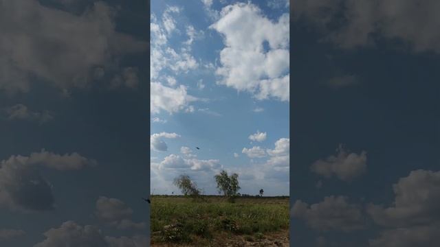 В Воронеже истребитель пролетел очень низко мы на полигоне. (перезалив) смотреть онлайн